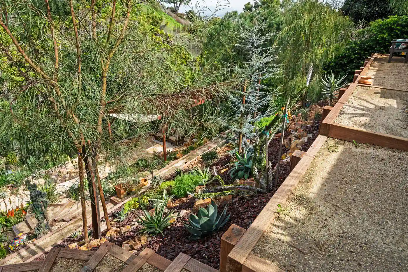 Decomposed granite path with timber edging through hillside planting