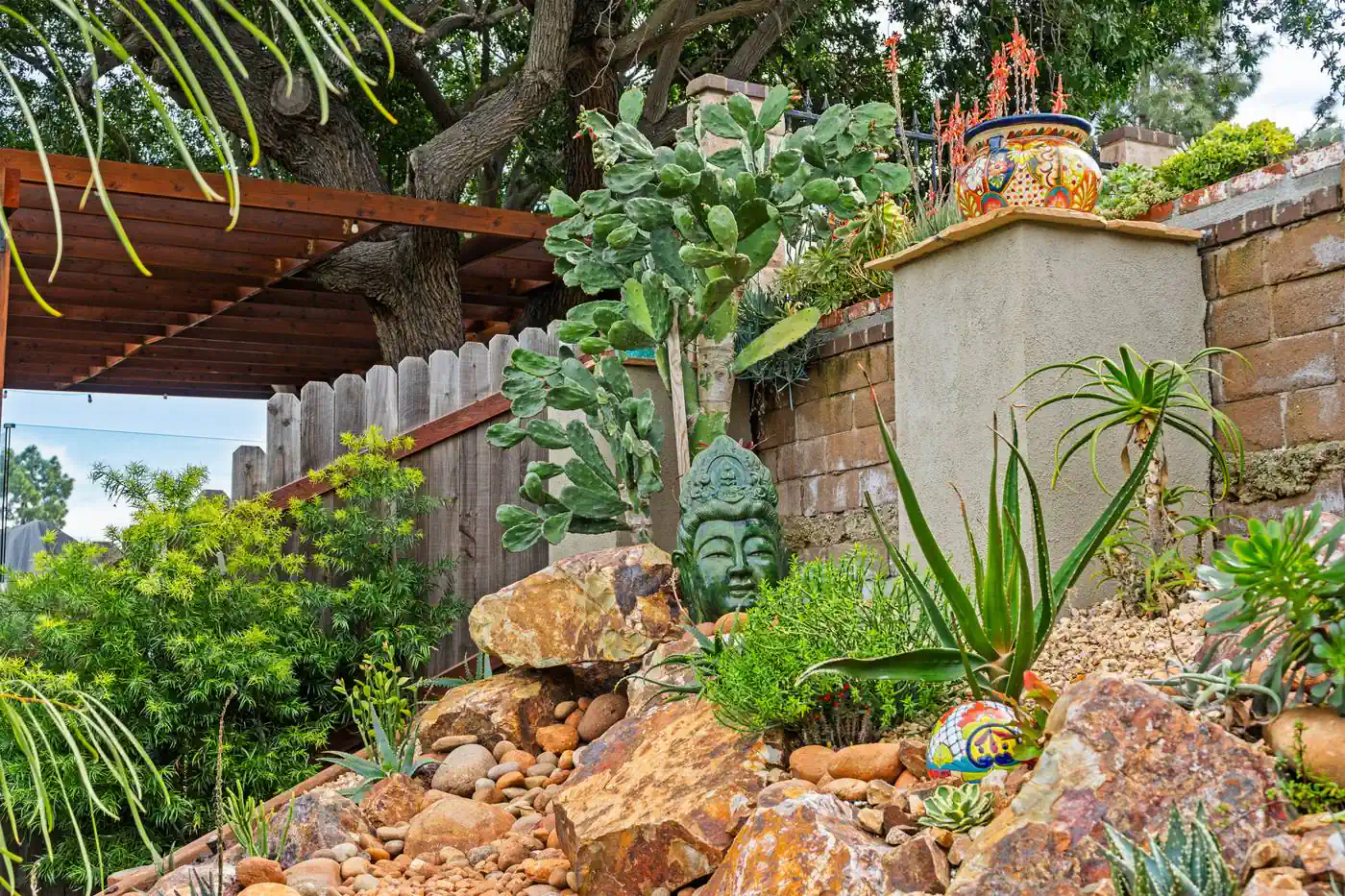 Garden feature wall with boulders and specimen succulent planting