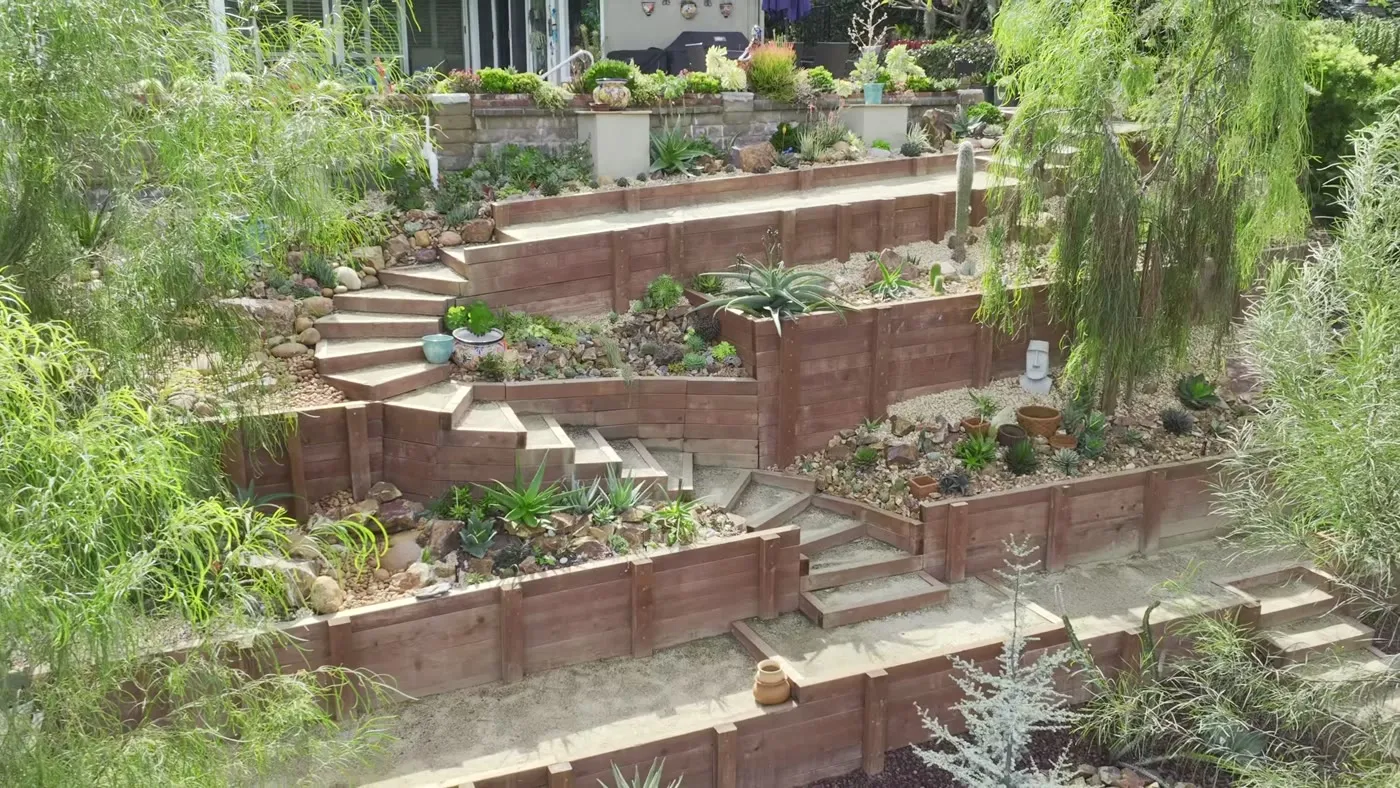 Succulent and agave planting between terraces