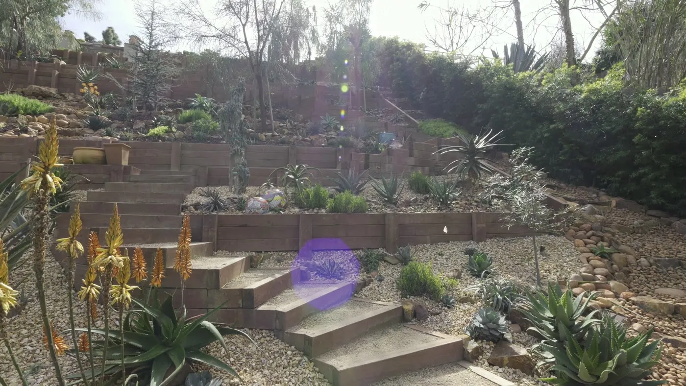 Timber stair flight linking the planted terraces