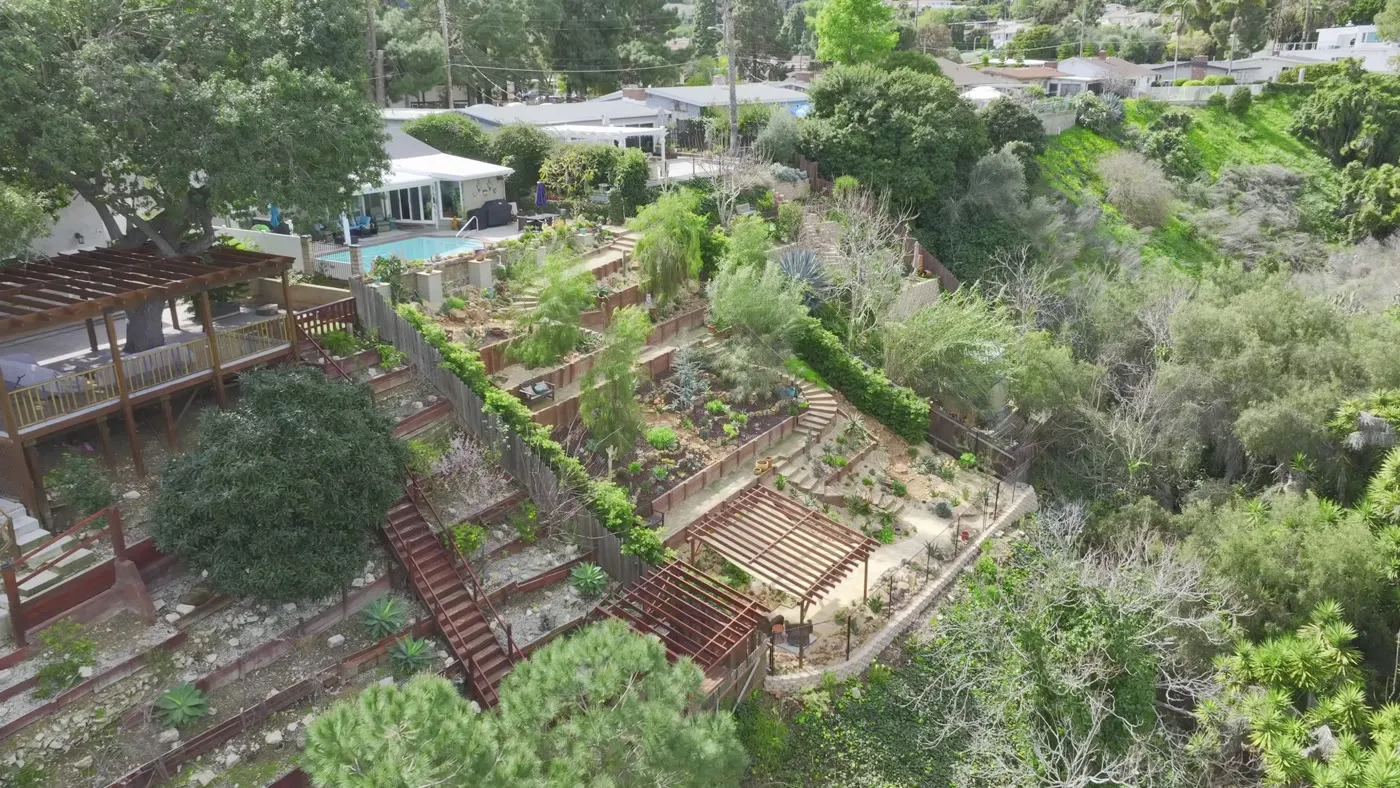 Terraced hillside garden at the Hodgsen residence in San Pedro